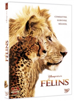 DVD du film FÉLINS