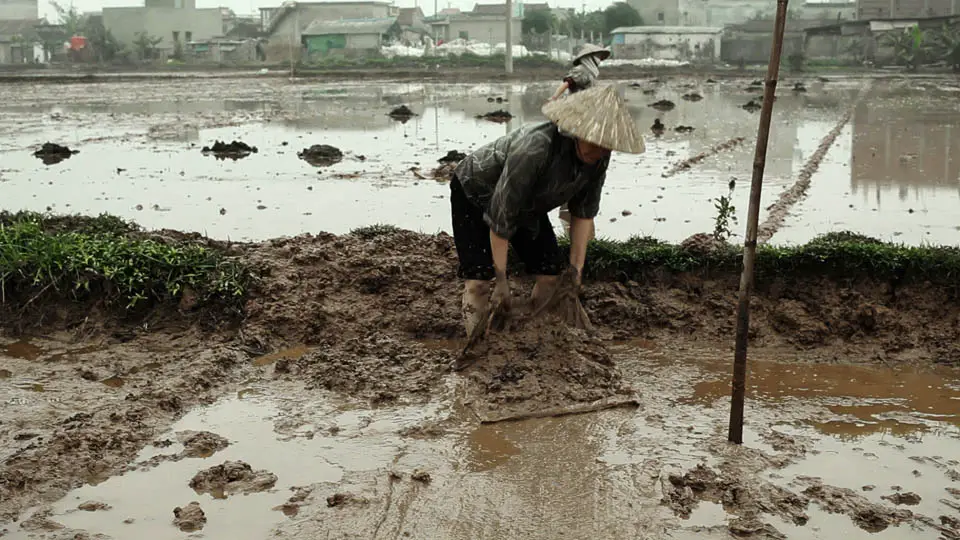 Photo (1) du film CONG BIHN - LA LONGUE NUIT INDOCHINOISE