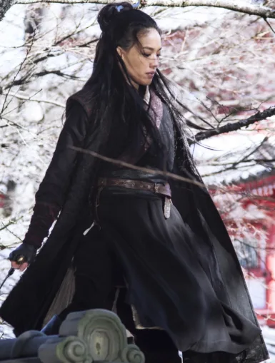 Photo du film THE ASSASSIN