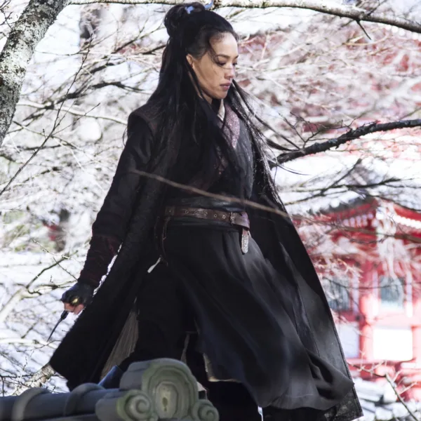 Photo du film THE ASSASSIN