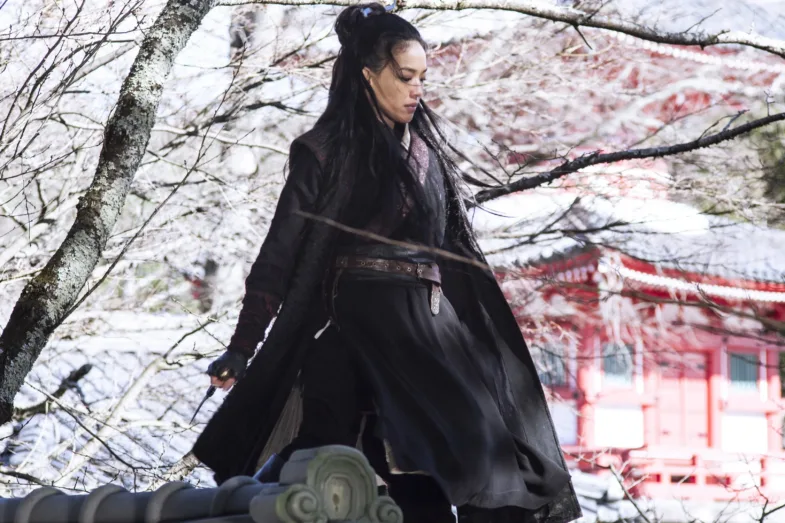 Photo du film THE ASSASSIN
