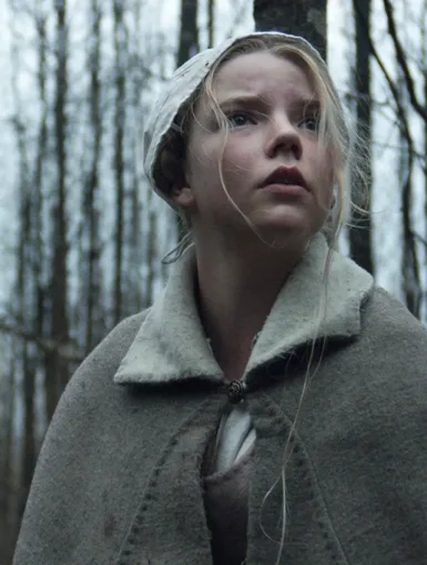 Photo du film THE WITCH