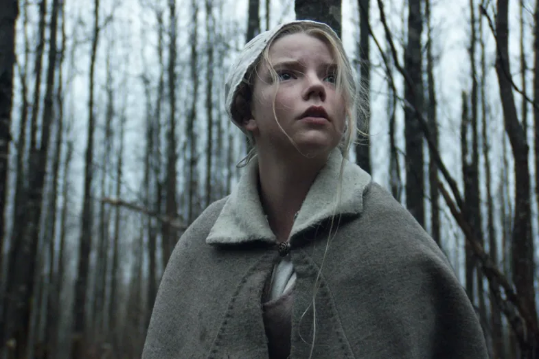 Photo du film THE WITCH