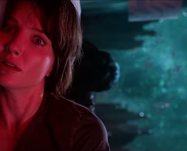 Photo du film MALIGNANT