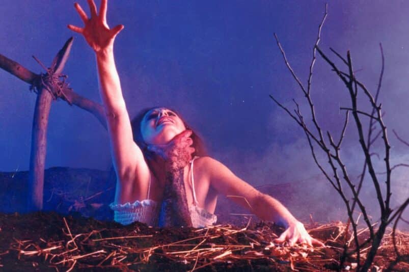 Photo du film EVIL DEAD