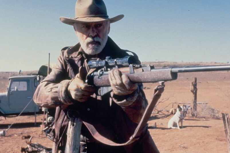 Photo du film RAZORBACK