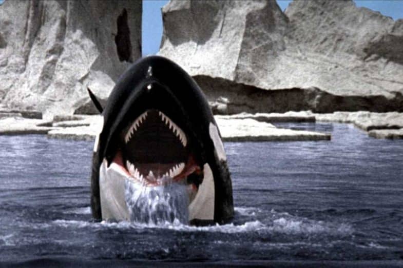 orca2