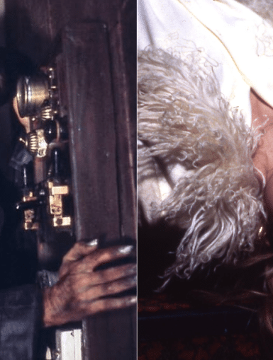 Photos des films LE CHAT ET LE CANARI et LES RATS ATTAQUENT