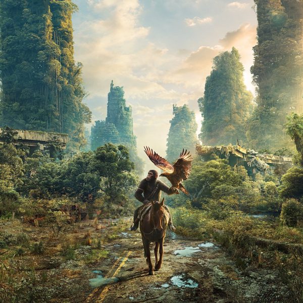 Photo du film LA PLANETE DES SINGES LE NOUVEAU ROYAUME