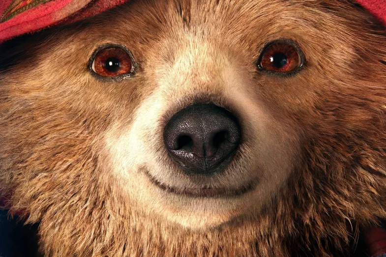 Photo du film PADDINGTON