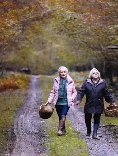 Photo du film QUAND VIENT L'AUTOMNE