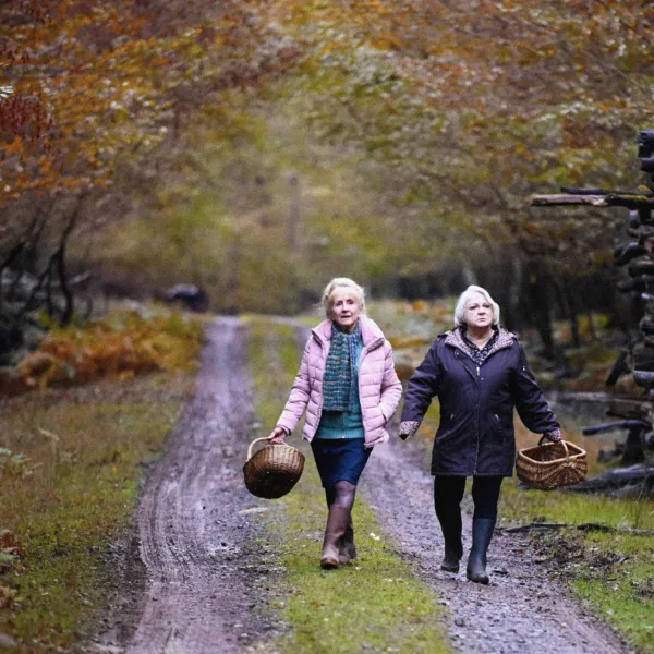 Photo du film QUAND VIENT L'AUTOMNE