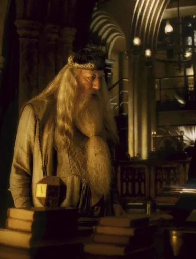 Photo du film HARRY POTTER ET LE PRINCE DE SANG MELE