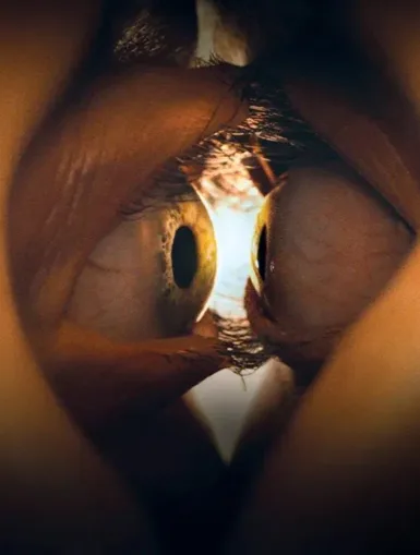 Photo du film TOGETHER