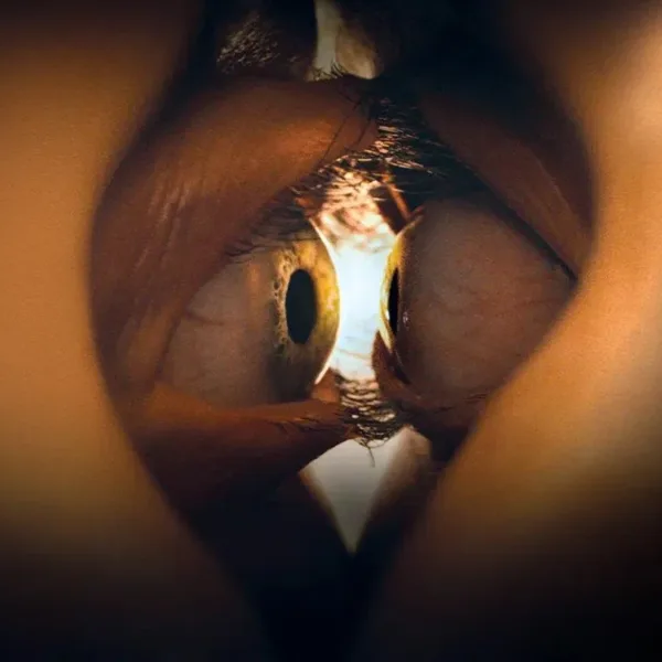 Photo du film TOGETHER