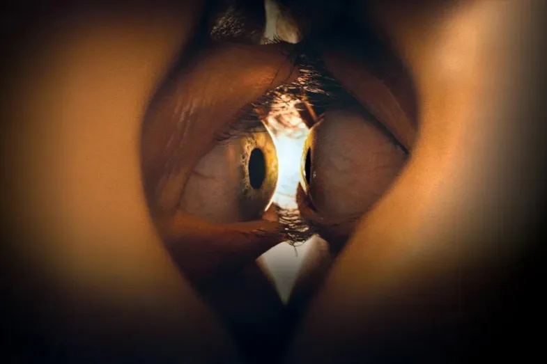 Photo du film TOGETHER