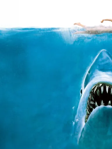 Photo du film LES DENTS DE LA MER