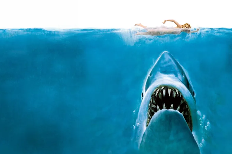 Photo du film LES DENTS DE LA MER