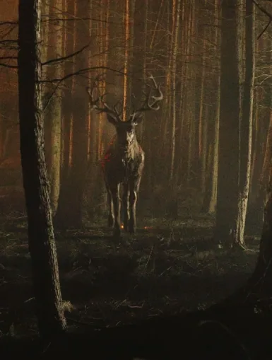 Photo du film BAMBI LA VENGEANCE