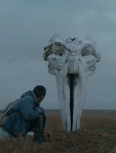 Photo du film LE CHASSEUR DE BALEINES