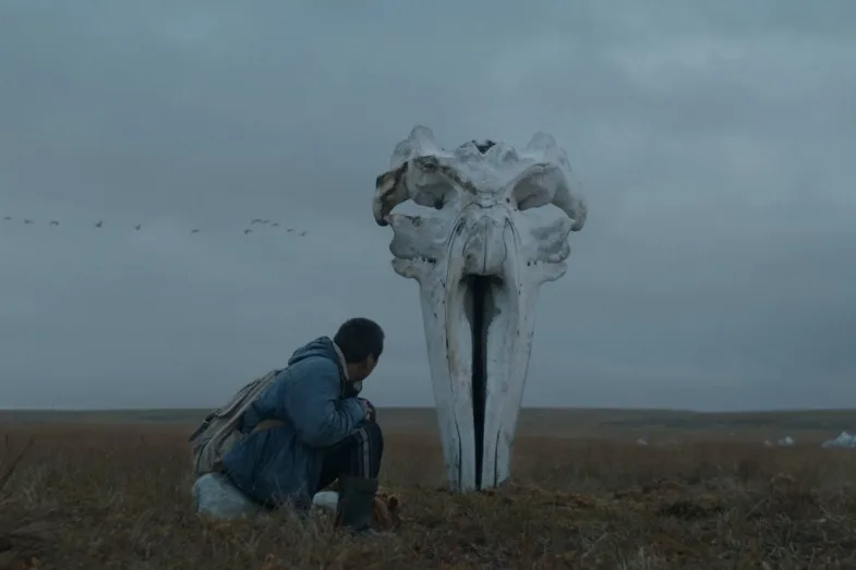 Photo du film LE CHASSEUR DE BALEINES
