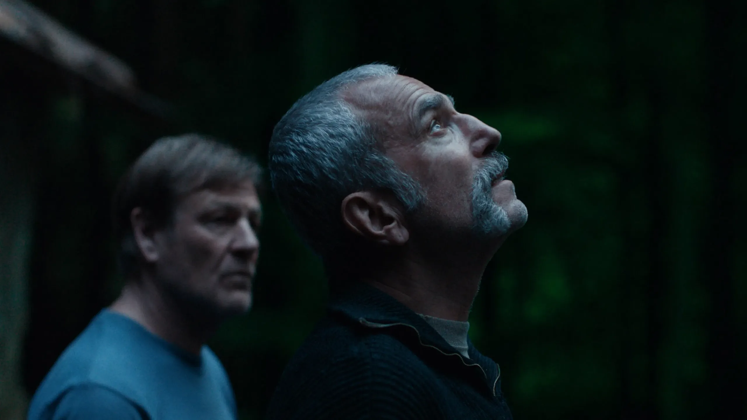 Photo du film ANEMONE LES RACINES DU MENSONGE