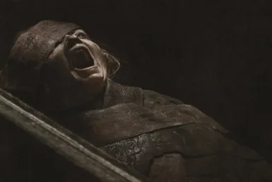 Photo du film LE REVEIL DE LA MOMIE