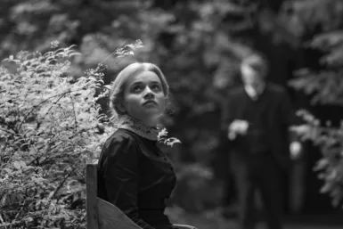 Photo du film SILENT FRIEND