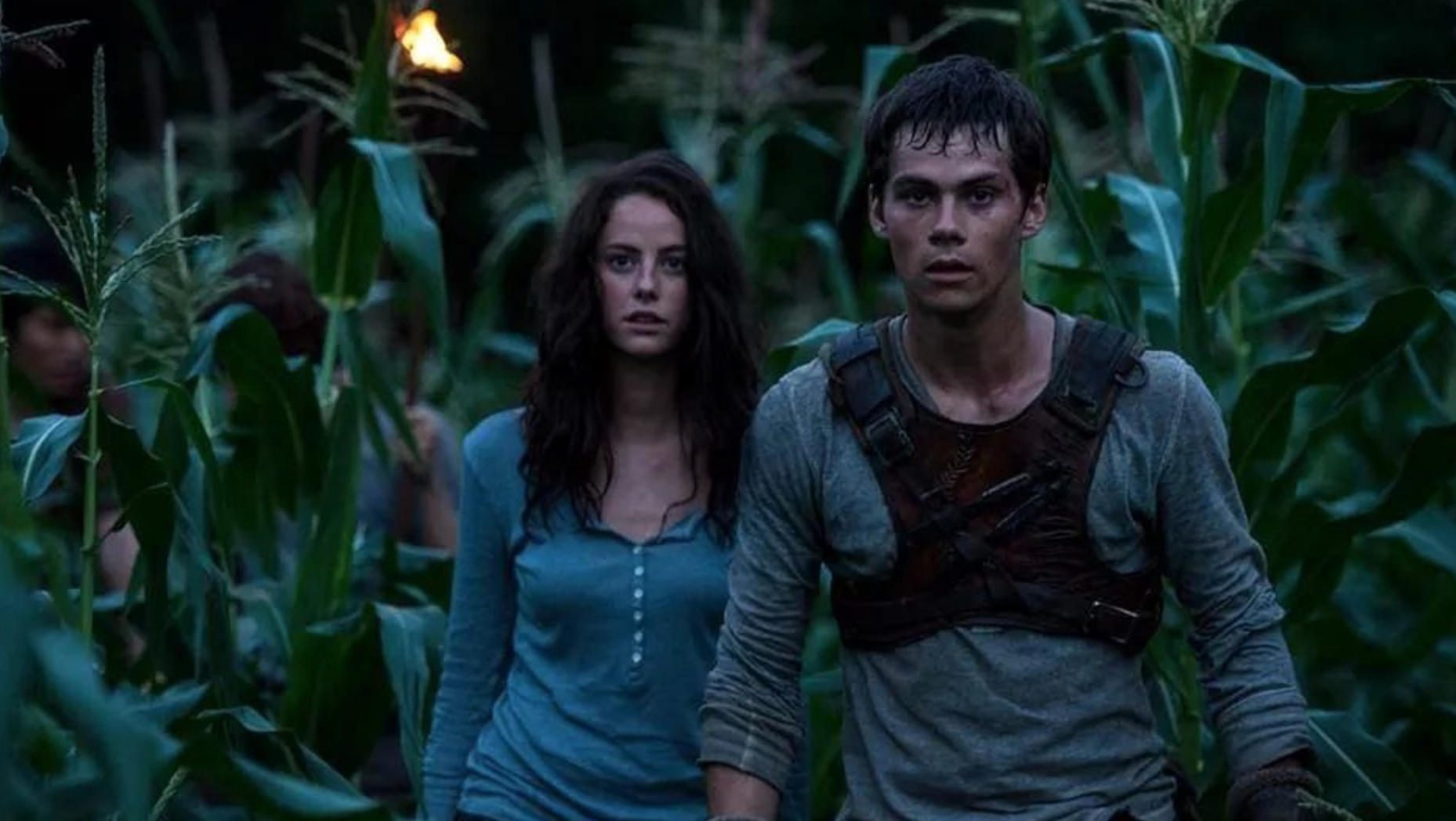 [critique] LE LABYRINTHE - Le Blog Du Cinéma